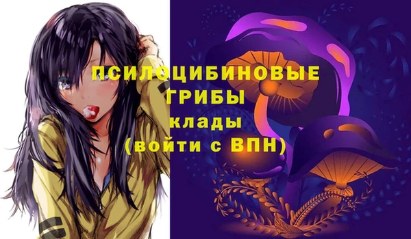 МДПВ Абдулино